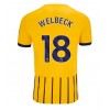 Brighton Danny Welbeck #18 Tredje Kläder 2025-26 Kortärmad